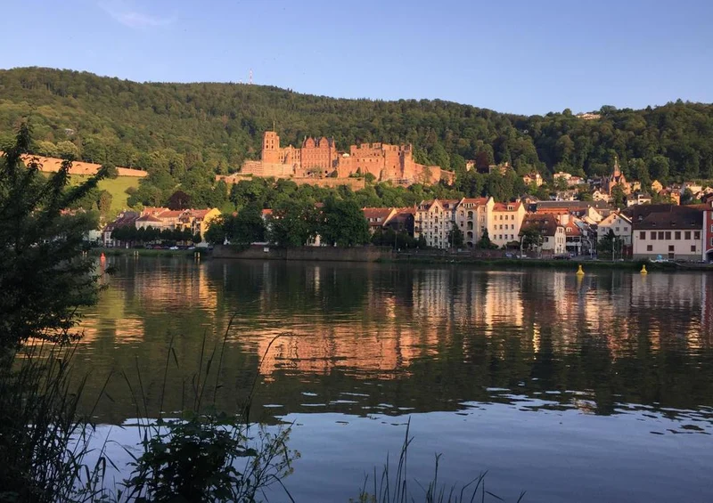 30742 Gebäude - Heidelberg Puzzle