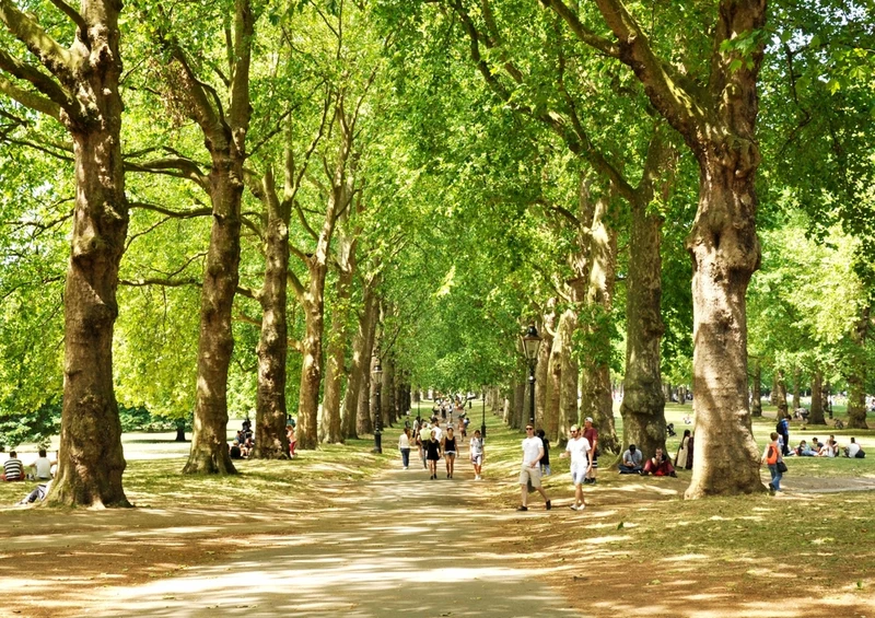 53749 Orte - Grüner Park Puzzle