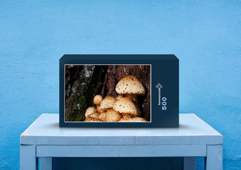 39688 Hintergründe - Pilze Puzzle