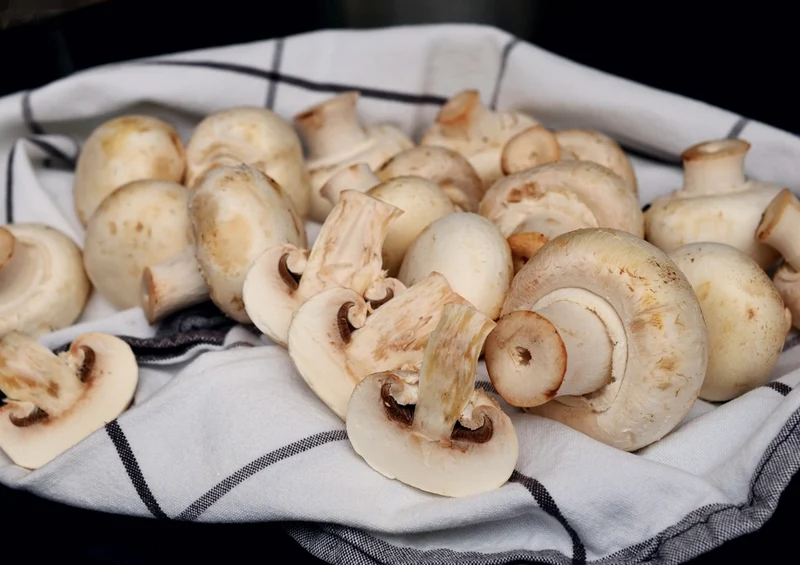 40675 Ernährung - Champignons Puzzle