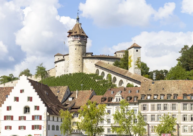 36030 Reisen - Schaffhausen Puzzle