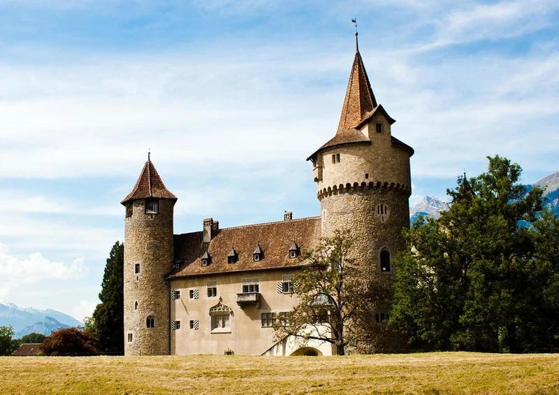 27540 Gebäude - Schloss Puzzle