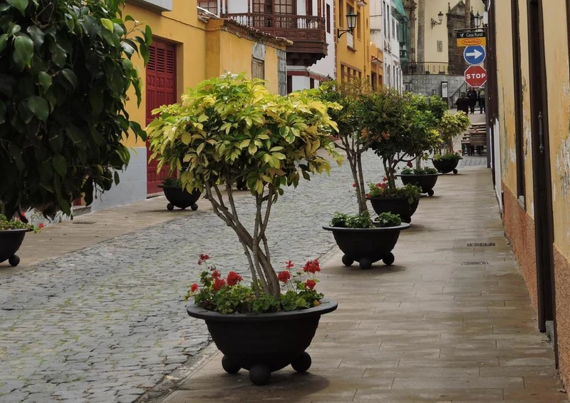 33434 Orte - Teneriffa Puzzle