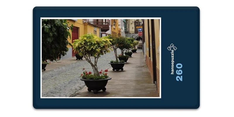 33434 Orte - Teneriffa Puzzle