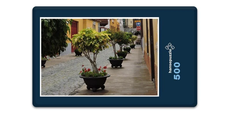 33434 Orte - Teneriffa Puzzle
