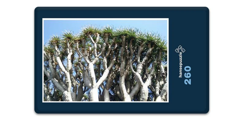 33430 Natur - Drachenbaum Puzzle