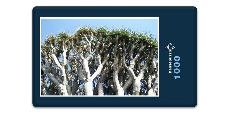 33430 Natur - Drachenbaum Puzzle