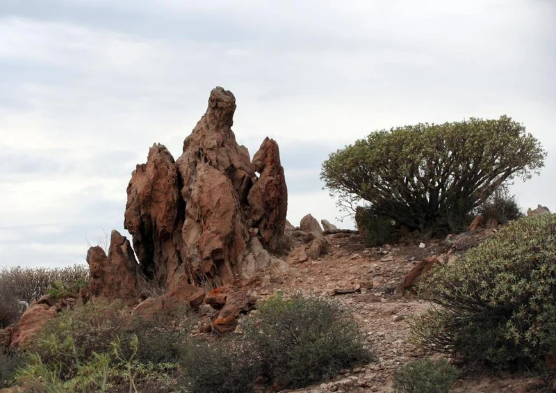 33429 Natur - Felsen Puzzle