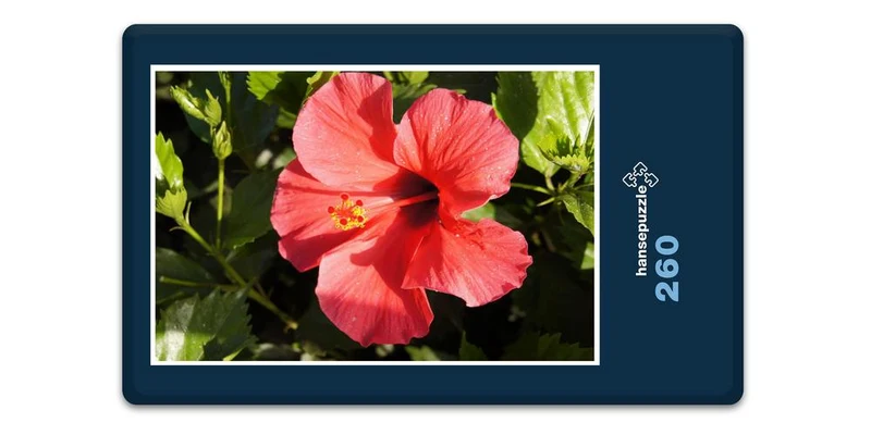 33327 Natur - Hibiskus Puzzle