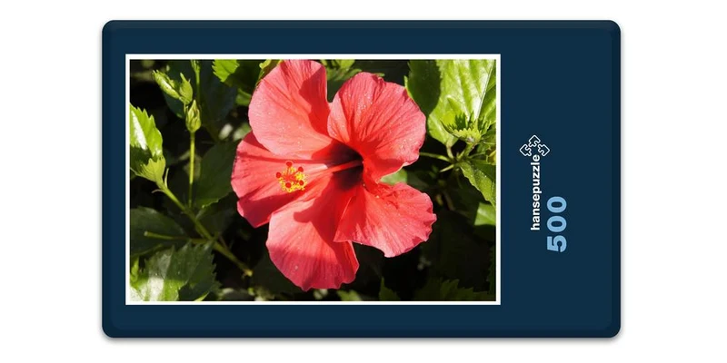 33327 Natur - Hibiskus Puzzle