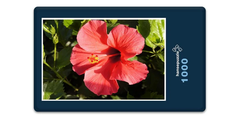 33327 Natur - Hibiskus Puzzle