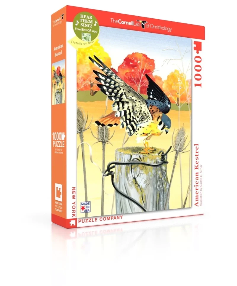PFG American Kestrel (Usagé/Used - PUZZLES FOR GOOD)