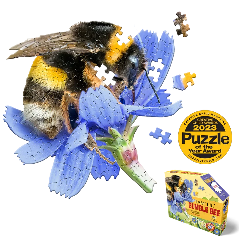 I Am Lil’ Bumblebee (100pcs)