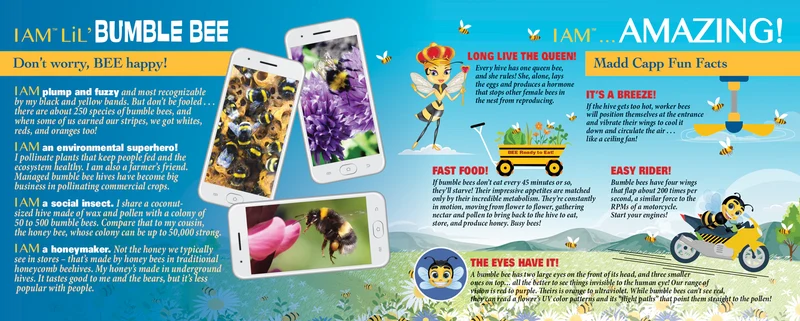 I Am Lil’ Bumblebee (100pcs)