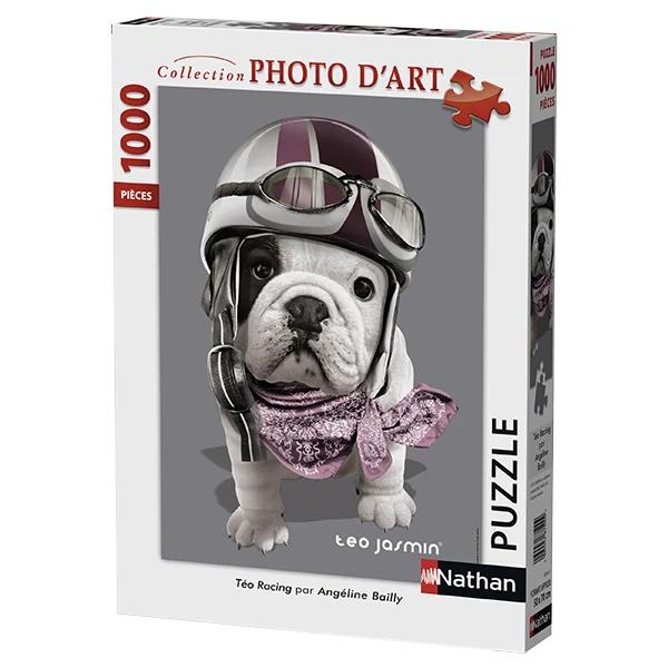 Collection Photo D'art - Téo Racing (1000pcs)