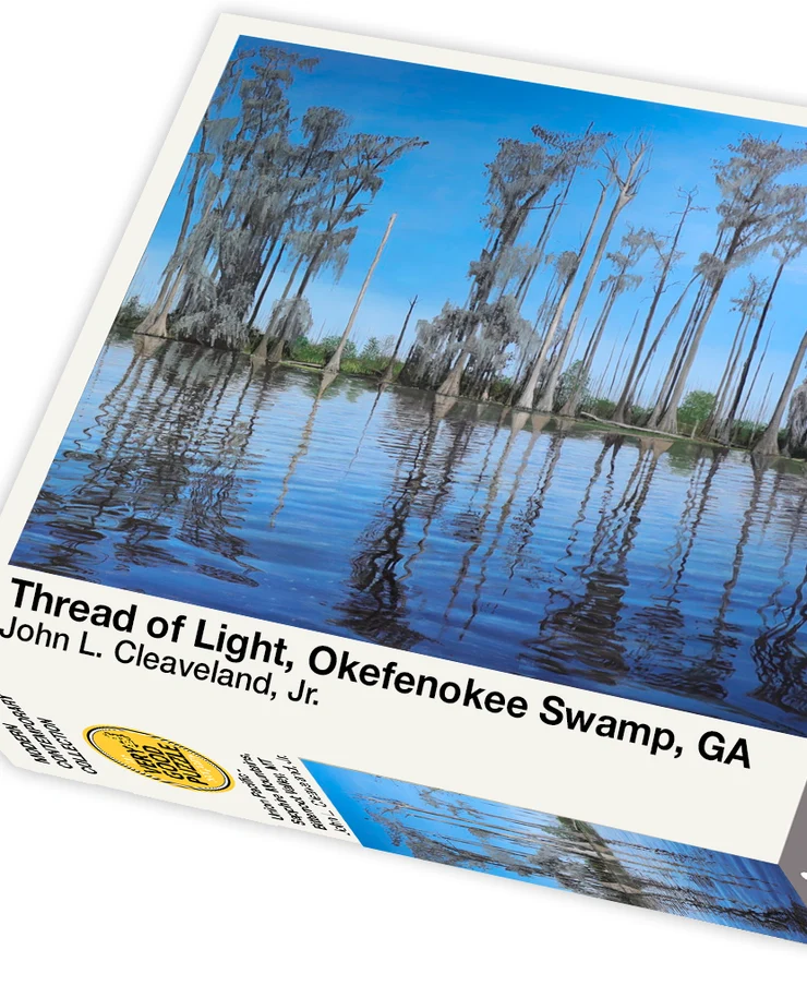 Thread of Light, Okefenokee Swamp, GA, John Cleaveland (1000pcs)
