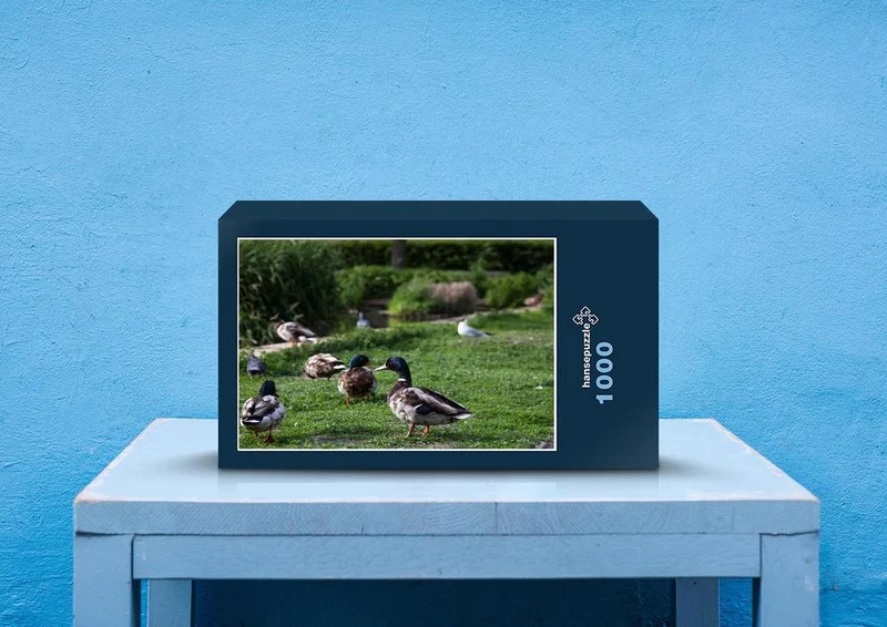 31136 Tierwelt - Ente Puzzle