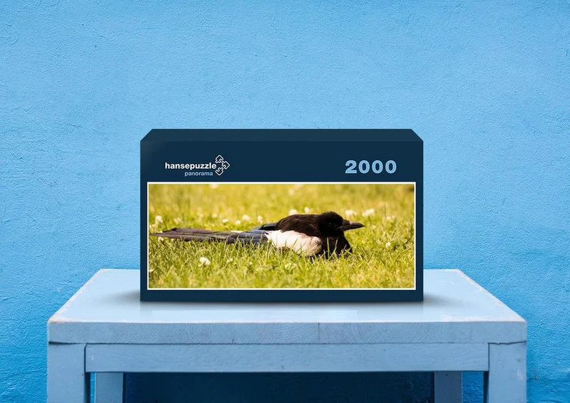 37564 Tierwelt - Vogel Puzzle