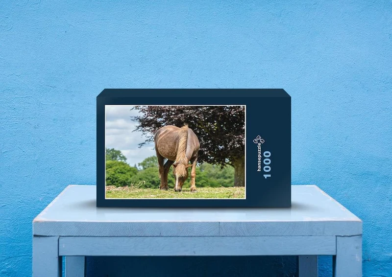 31119 Tierwelt - Pferd Puzzle
