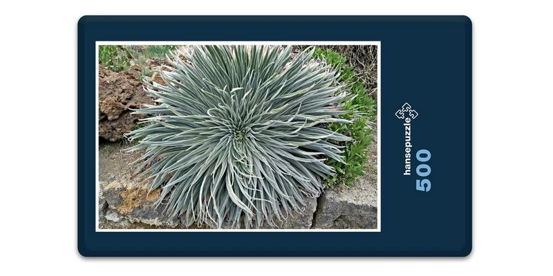 33423 Natur - Bromelie Puzzle