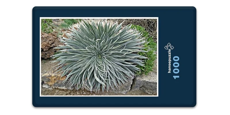 33423 Natur - Bromelie Puzzle