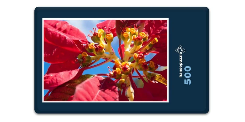 33420 Natur - Euphorbia Puzzle