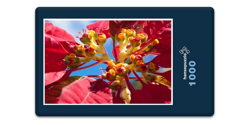 33420 Natur - Euphorbia Puzzle