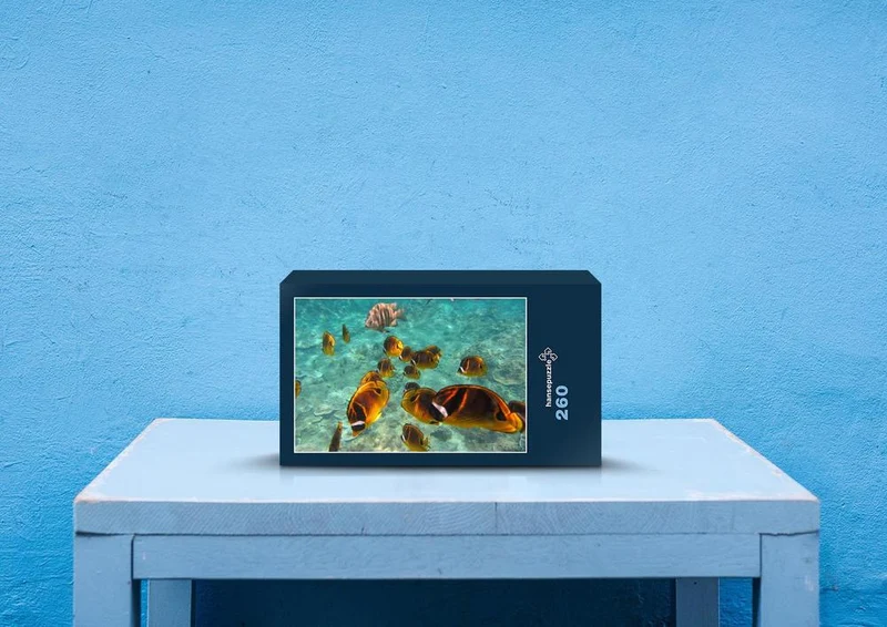 27599 Natur - Fische Puzzle