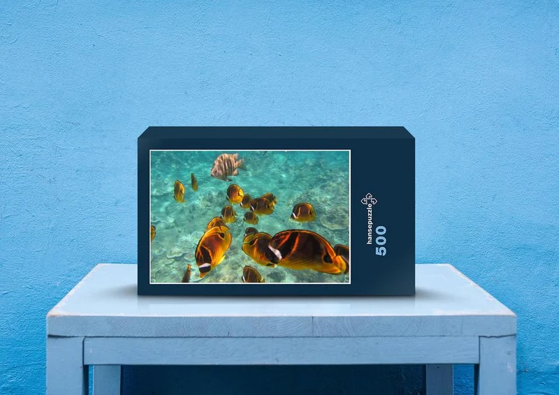 27599 Natur - Fische Puzzle