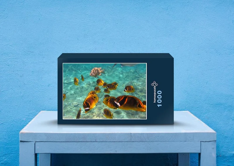 27599 Natur - Fische Puzzle