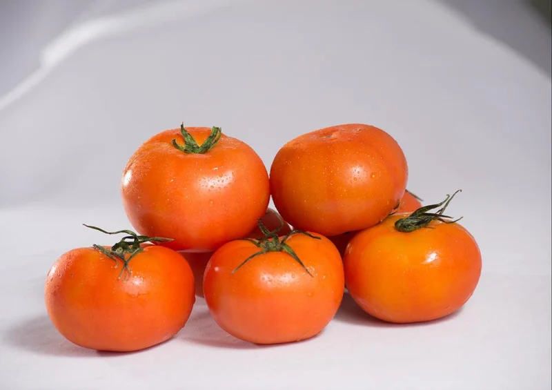 33102 Ernährung - Tomaten Puzzle
