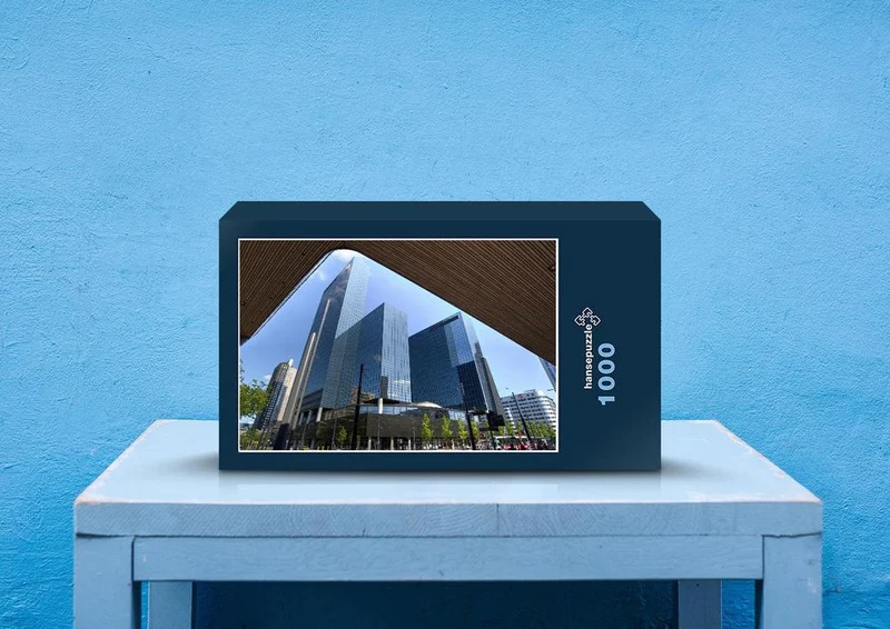 31080 Orte - Rotterdam Puzzle
