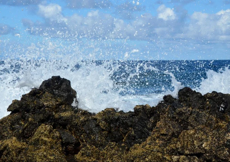 33414 Natur - Meer Puzzle