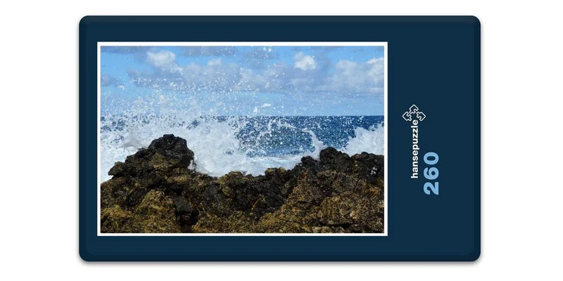 33414 Natur - Meer Puzzle