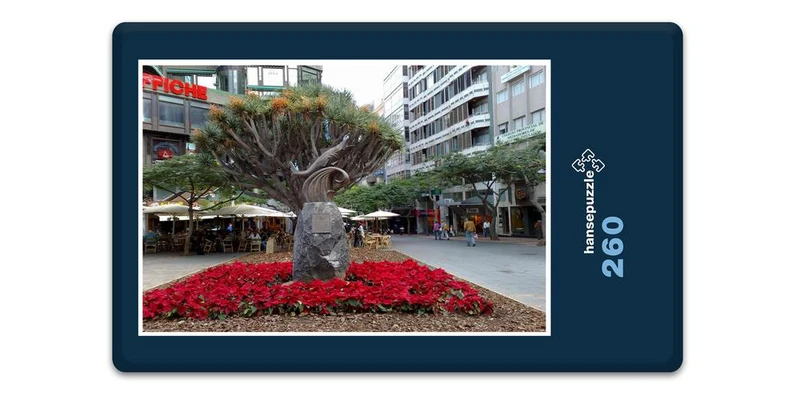 33454 Orte - Teneriffa Puzzle