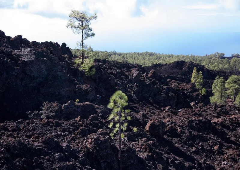 33365 Natur - Lava-Gestein Puzzle