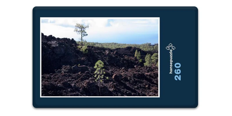 33365 Natur - Lava-Gestein Puzzle