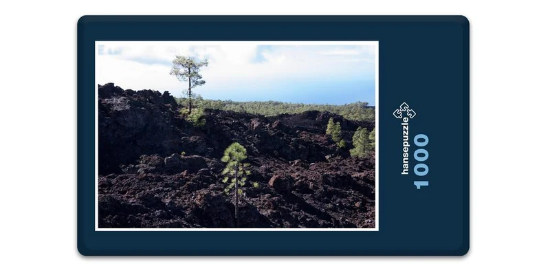 33365 Natur - Lava-Gestein Puzzle