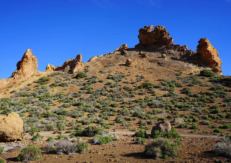 16921 Natur - Roques De Garcia Puzzle