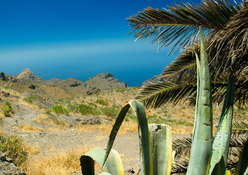 33408 Natur - Teneriffa Puzzle