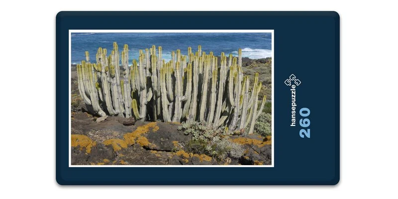 33405 Natur - Kaktus Puzzle