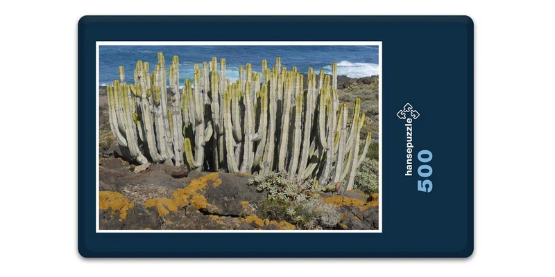 33405 Natur - Kaktus Puzzle