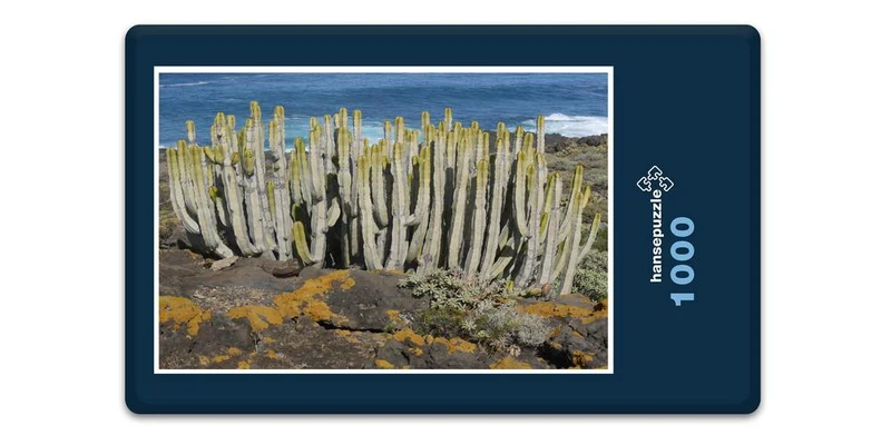 33405 Natur - Kaktus Puzzle