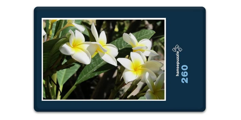 33447 Reisen - Plumeria Puzzle