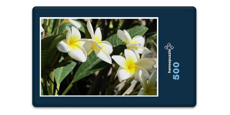 33447 Reisen - Plumeria Puzzle