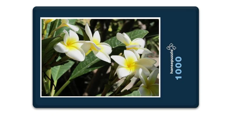 33447 Reisen - Plumeria Puzzle