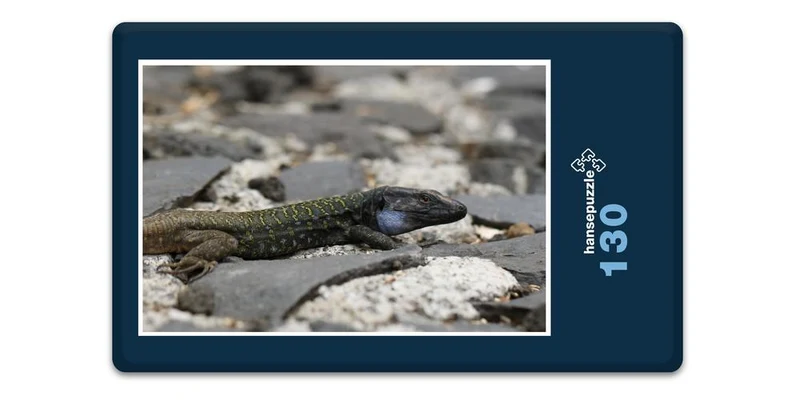 16923 Tierwelt - Eidechse Puzzle