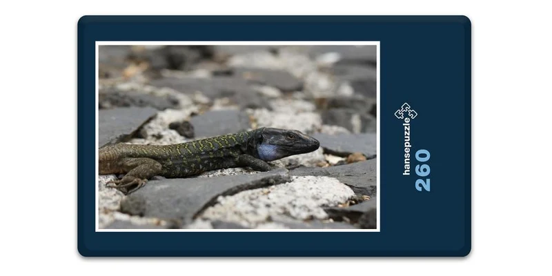 16923 Tierwelt - Eidechse Puzzle