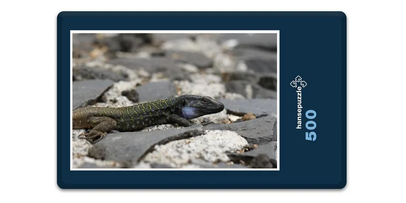 16923 Tierwelt - Eidechse Puzzle
