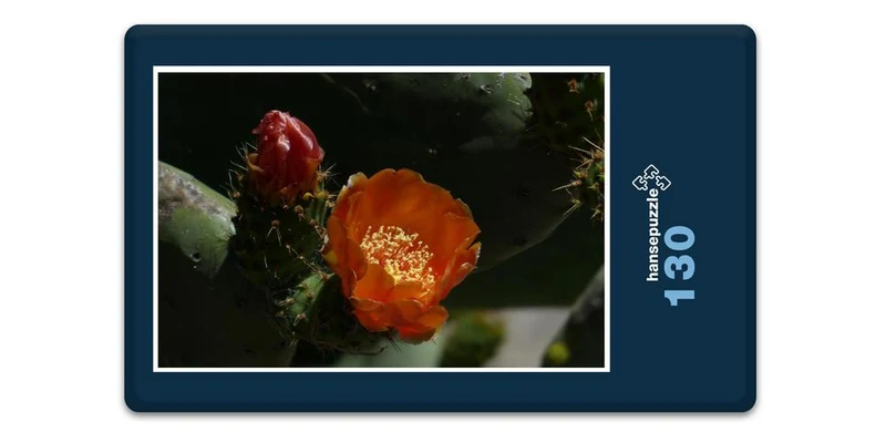 16925 Natur - Feigen-Kaktus Puzzle